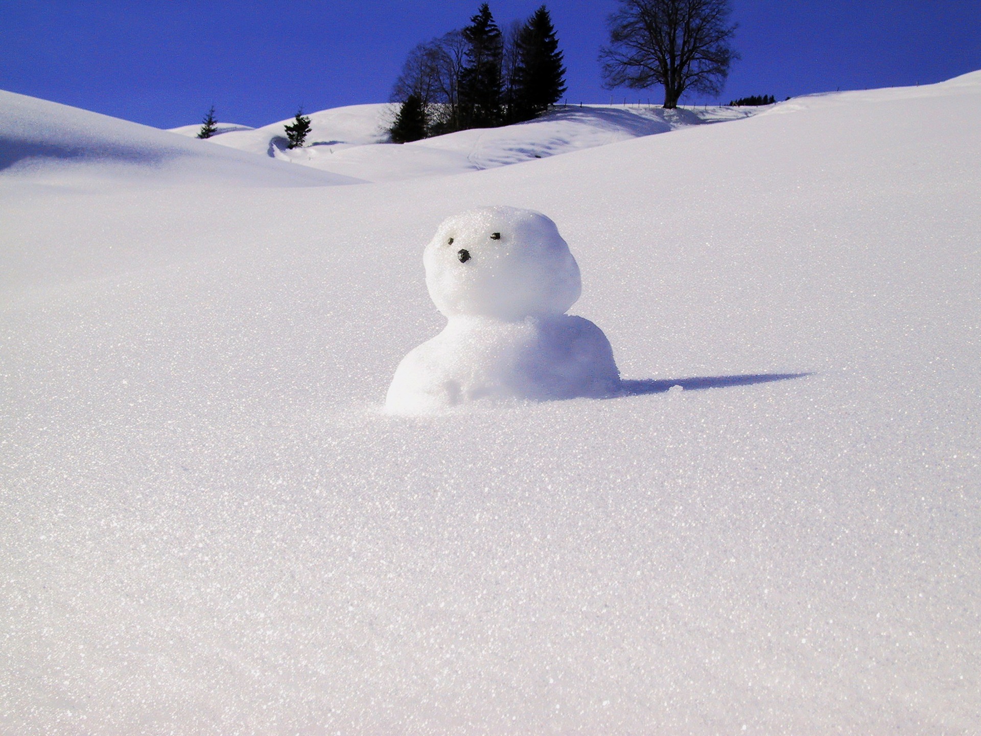 snowman-974871_1920